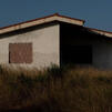 crollo - quercia